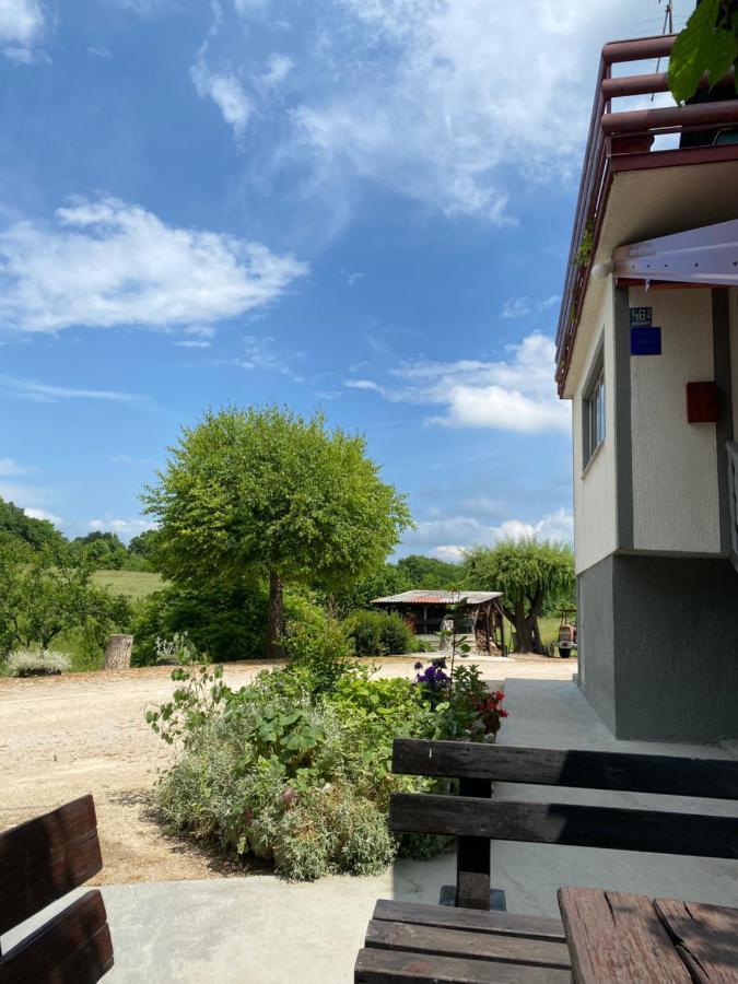 Apartman Laura Smoljanac Bagian luar foto