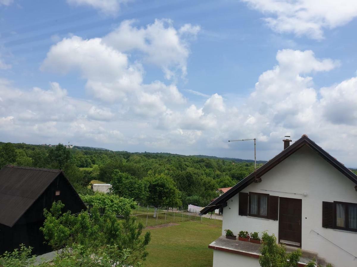 Apartman Laura Smoljanac Bagian luar foto
