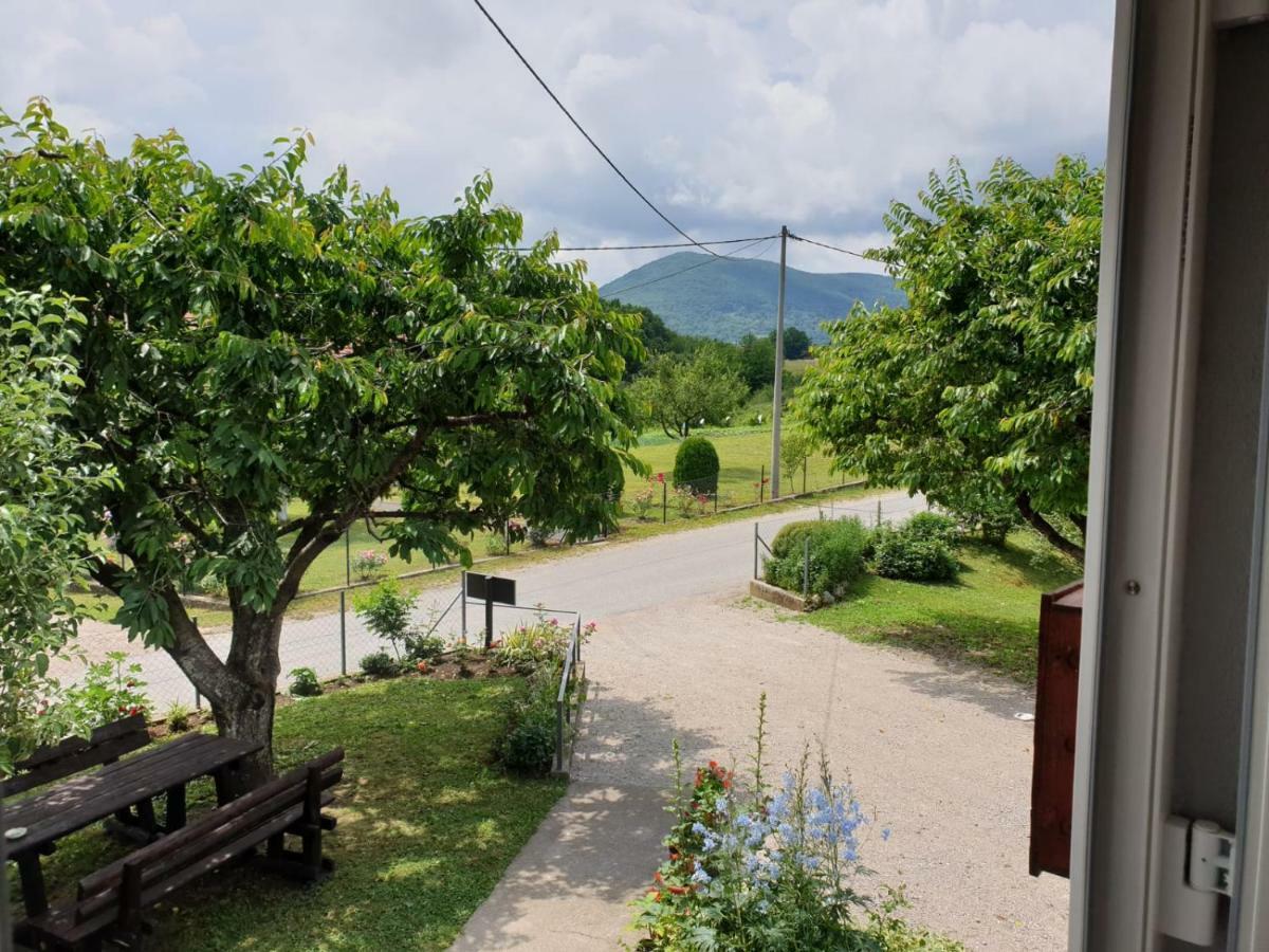 Apartman Laura Smoljanac Bagian luar foto