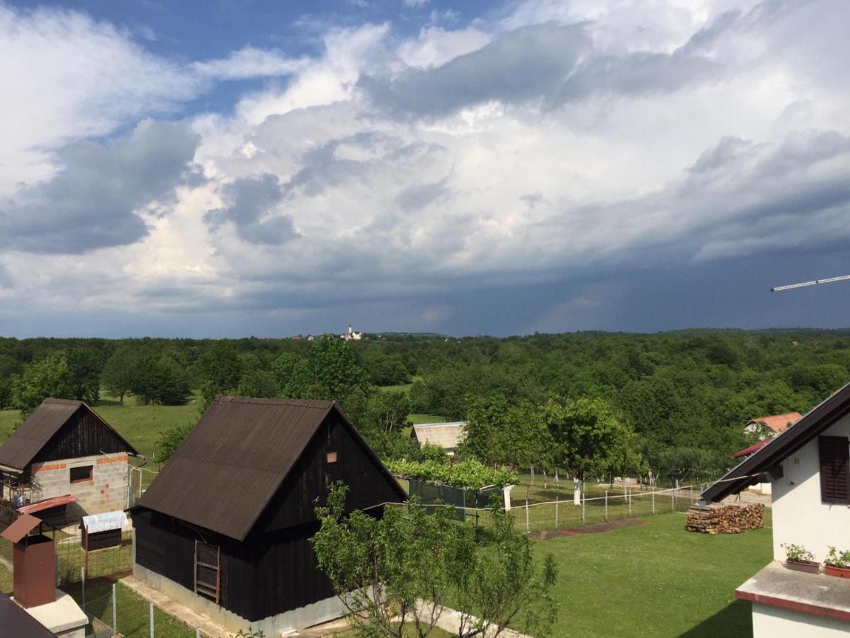 Apartman Laura Smoljanac Bagian luar foto