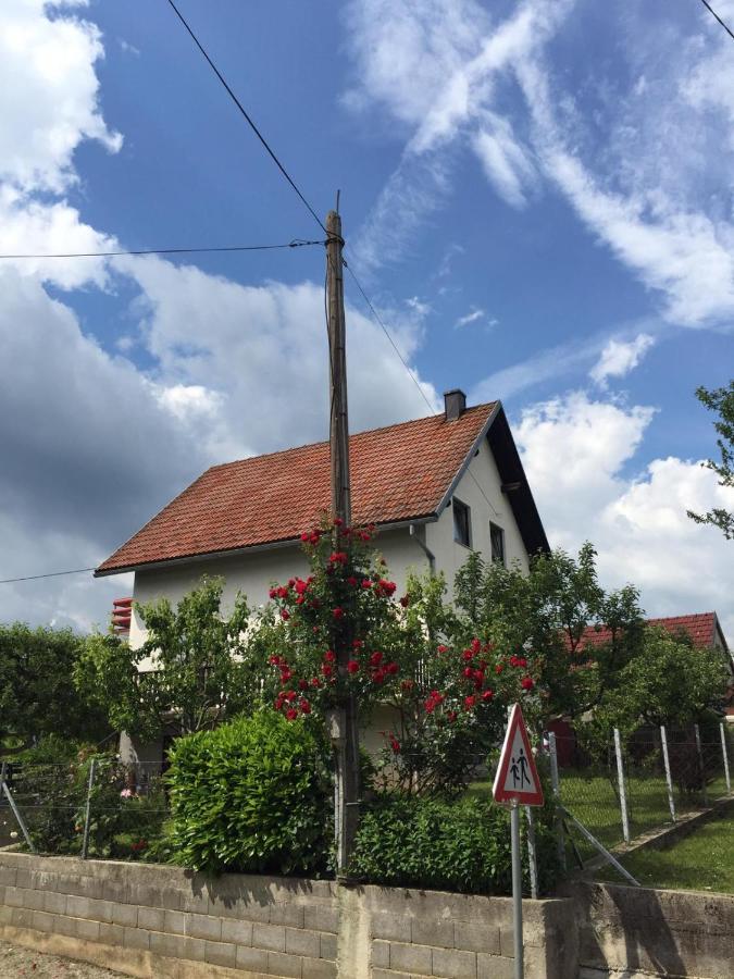 Apartman Laura Smoljanac Bagian luar foto